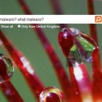 Bing found to bring back 5x more malware links than Google