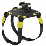 Sony Offers a Pets-Eye View with Action Cam Harness for Dogs!