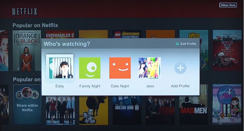 Windows Vista Media Center Netflix