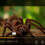 VLC Media Player for Windows 8 arrives in Beta